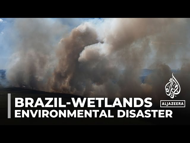 ⁣‘An inferno’: The largest wetlands in the world are on fire in Brazil