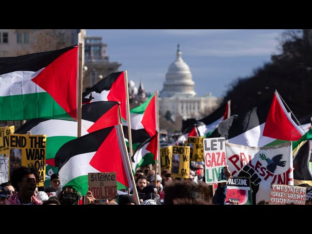 ⁣Independents ‘disgusted’ by pro-Palestine protests running rampant in the US