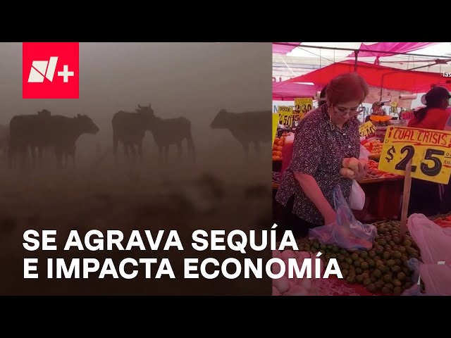 ⁣Empeora sequía en México y alza el precio del azúcar, el frijol, frutas y hortalizas - En Punto