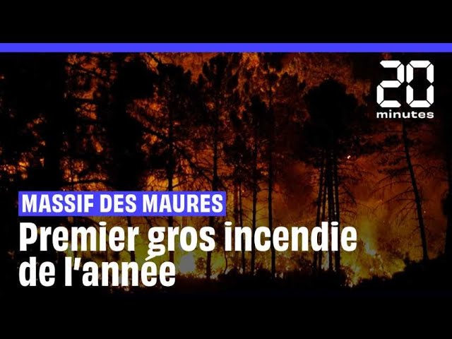 ⁣Massif des Maures : Le premier incendie de l'année ravage 600 hectares