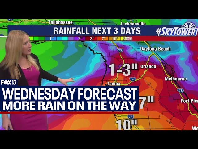 ⁣Tampa weather | More rain for Wednesday