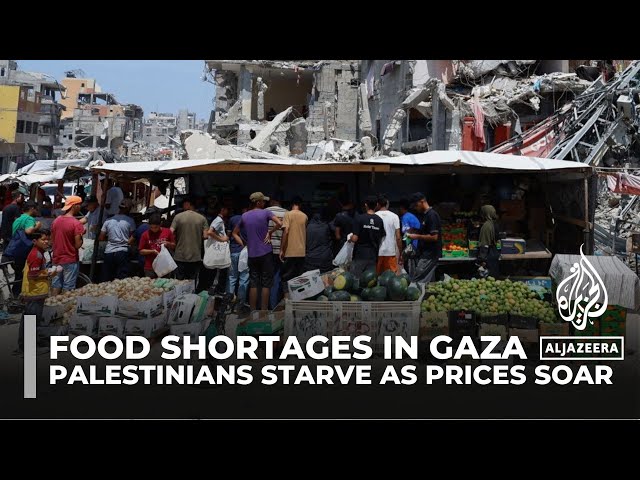 ⁣War on Gaza: Palestinians face starvation as food prices soar amid Israeli blockade