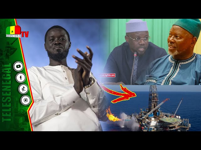 ⁣Diomaye inaugure le pétrole et promet, SONKO sur le DPM, Alioune Tine fait son jubanti...