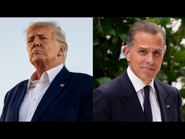 ⁣Donald Trump and Hunter Biden are victims of the ‘weaponisation of the justice system’