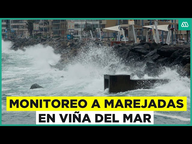 EN VIVO | Monitoreo a marejadas en Viña del Mar