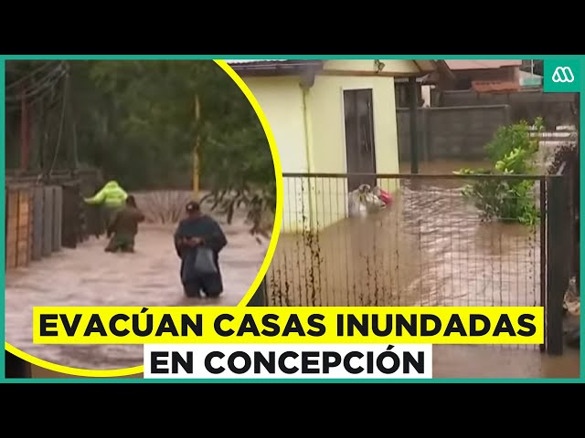 ⁣Crecidas de ríos e inundaciones: Evacúa casas inundadas en Concepción