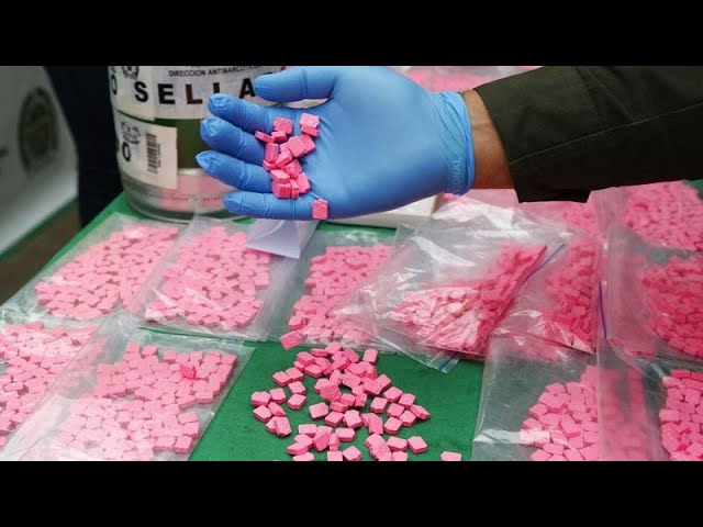 ⁣Las drogas están "por todas partes" en Europa, advierte la agencia en un informe