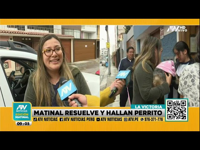 ⁣Perrito que escapó de casa tras asalto es hallado tras denuncia en ATV Noticias Matinal
