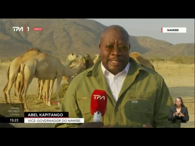 ⁣Deserto do Namibe - Chegada dos camelos vai garantir a promoção do turismo sustentável na região