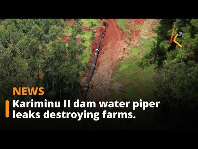 ⁣Outcry as Kariminu II dam water piper leaks destroying farms in Gatundu village.