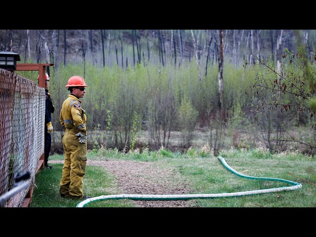 ⁣Canada’s wildfire season: Feds give update on what to expect this summer