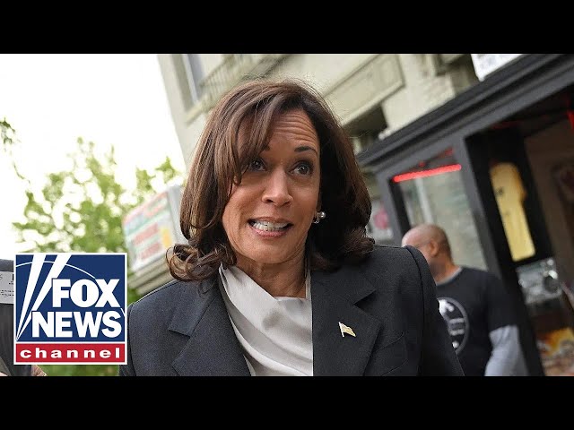 ⁣Media 'cannot stop fawning' over Kamala Harris, but new poll reveals Americans' doubt