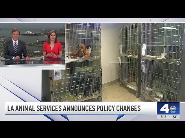⁣LA Animal Services announce new polices after employee attack