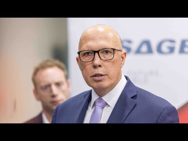 ⁣Peter Dutton will ‘damage economy’ if he rips up emissions targets: Jim Chalmers
