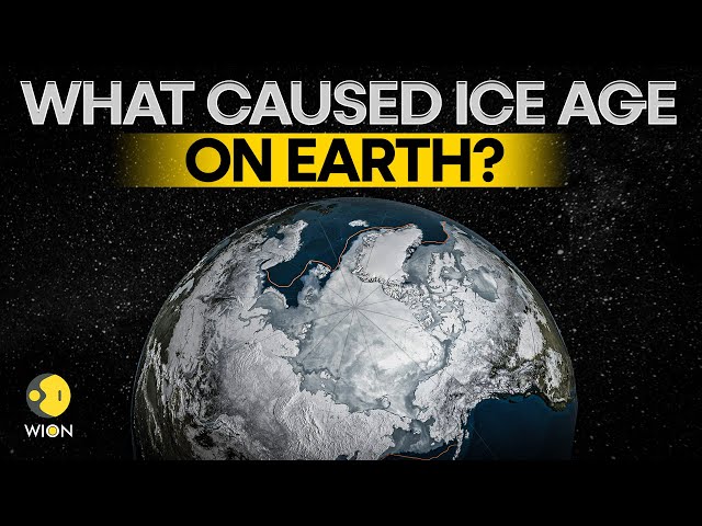⁣A space cloud could have caused ice-age on Earth: Study | WION Originals