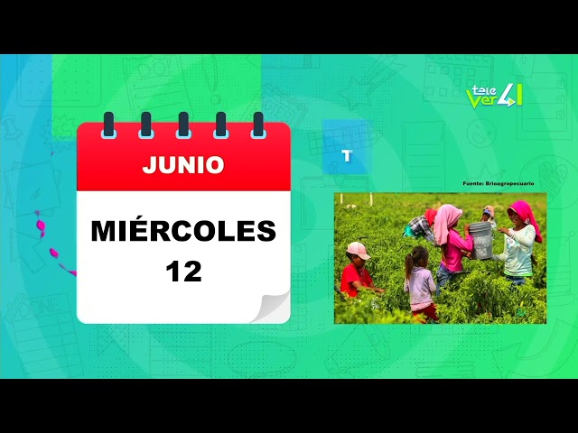 Día contra el trabajo infantil.