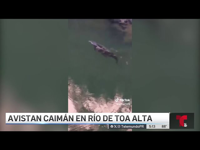 ⁣Advierten a pescadores por presencia de caimanes en los ríos
