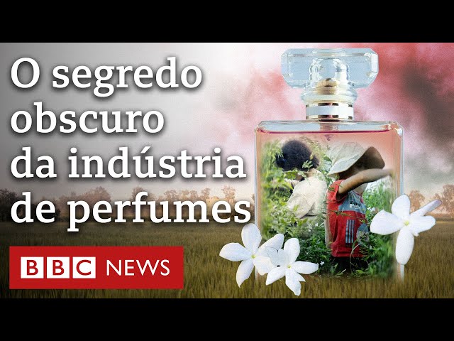 ⁣Marcas de perfumes de luxo estão envolvidas com trabalho infantil, revela investigação da BBC