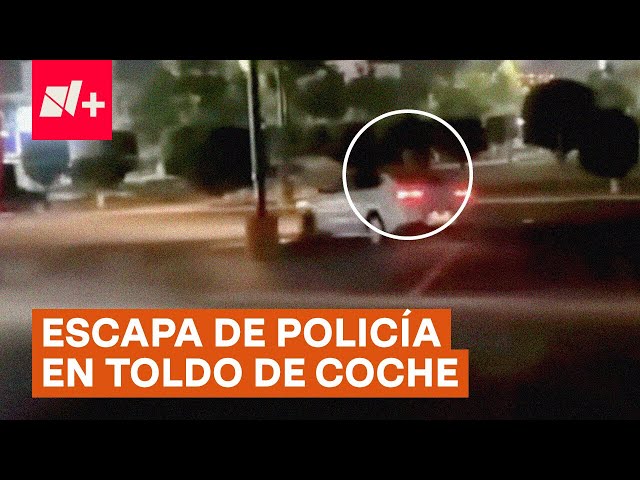 ⁣Hombre escapa de la policía sobre el toldo de un coche durante unos arrancones - N+