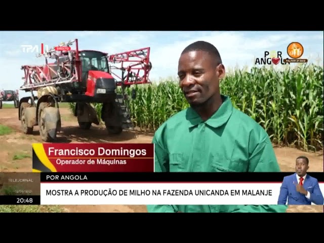 ⁣Por Angola mostra a produção de milho na fazenda UNICANDA em Malanje
