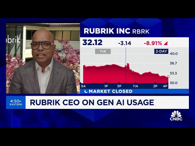⁣Rubrik CEO Bipul Sinha: 'We still see strong demand for our products'