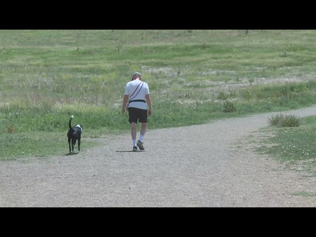⁣Dog owners are concerned about the future of a dog park near Simms and West 100th Avenue
