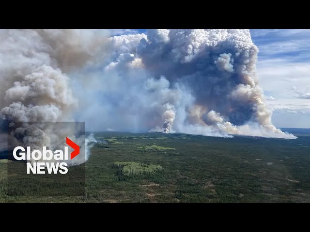 ⁣Eco-friendly, plant-based, edible gel could help Canada fight wildfires