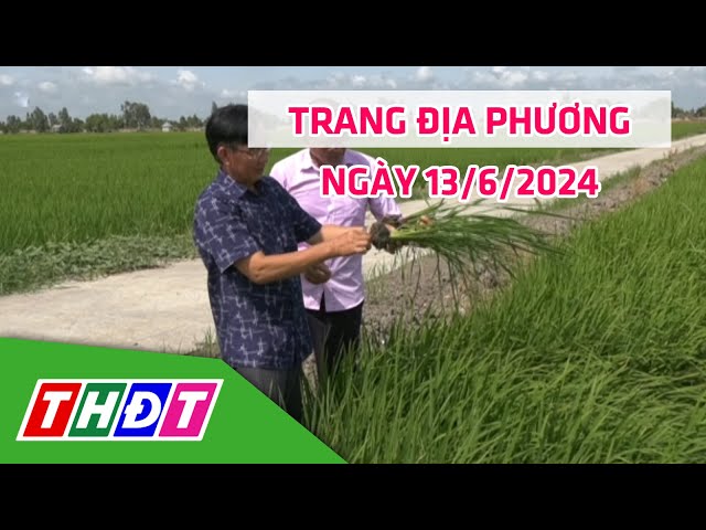 ⁣Trang địa phương | 13/6/2024 |H.Tam Nông - Xây dựng khu vực lúa sinh thái kết hợp bảo tồn sếu | THDT