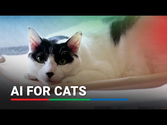 ⁣Japan's beloved cats get healthcare help from AI