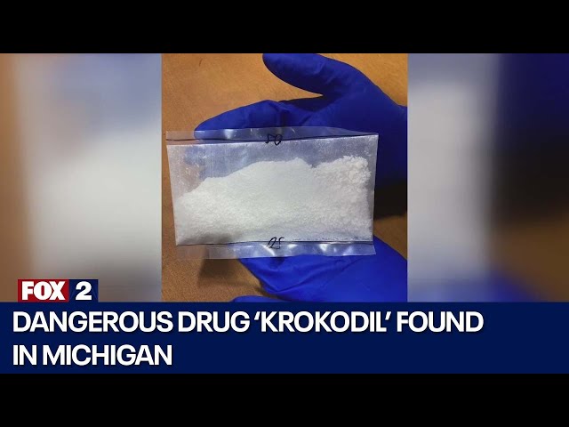 ⁣Dangerous drug 'krokodil' appears in Michigan county for 1st time