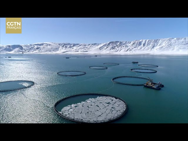 ⁣Le miracle de l'aquaculture dans le Xinjiang, la région la plus éloignée des côtes chinoises