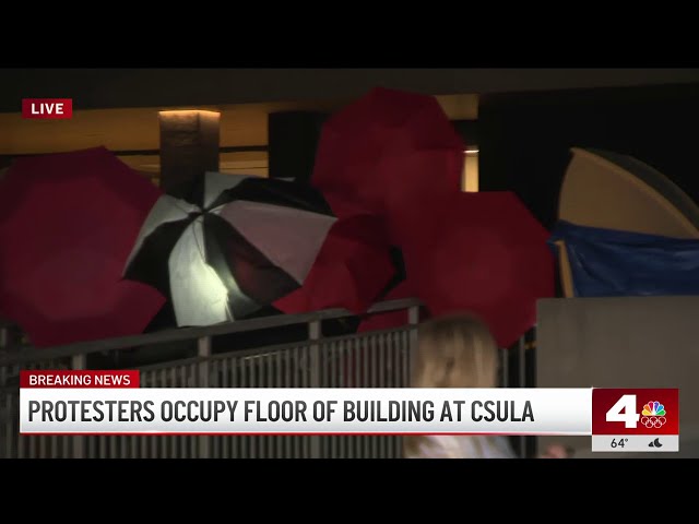 ⁣CSULA issues shelter in place amid pro-Palestinian protest on campus