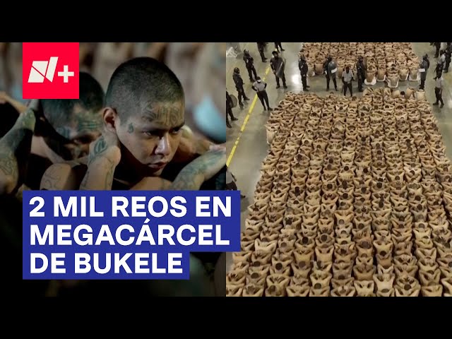 ⁣Transfieren a 2 mil reos a nueva megacárcel de Bukele en El Salvador - N+