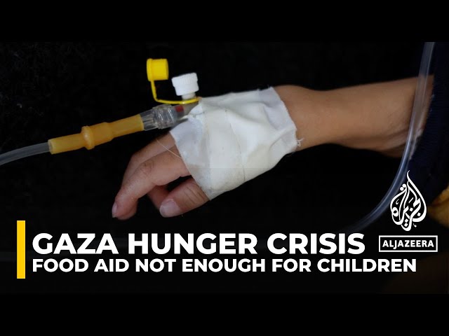 ⁣Food aid coming in Gaza is not enough for children: Palestinian NGOs Network