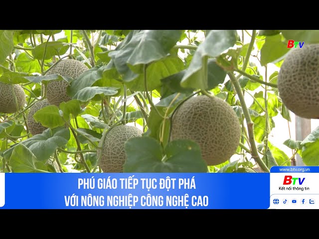 ⁣Phú Giáo tiếp tục đột phá với nông nghiệp công nghệ cao