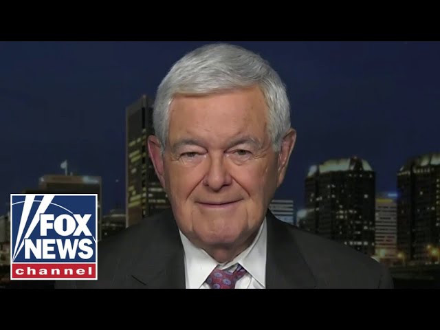 ⁣Newt Gingrich: This new Biden campaign push is 'childish'