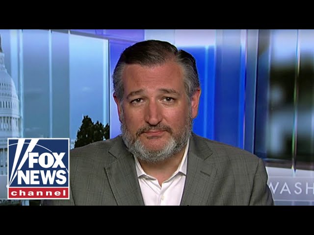 ⁣Ted Cruz: Democrats are 'laying out the red carpet' for terrorists