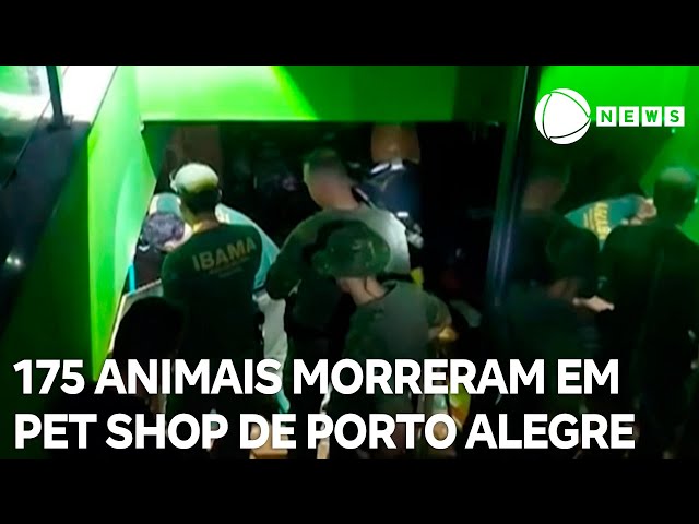 ⁣175 animais morreram dentro de pet shop em Porto Alegre