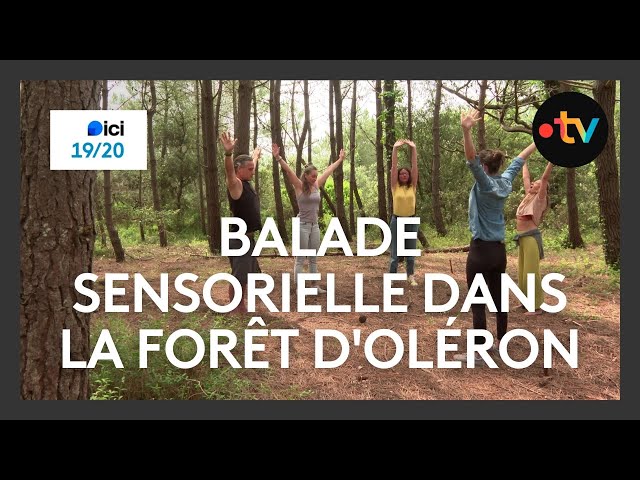⁣Balade sensorielle au cœur de la forêt d'Oléron