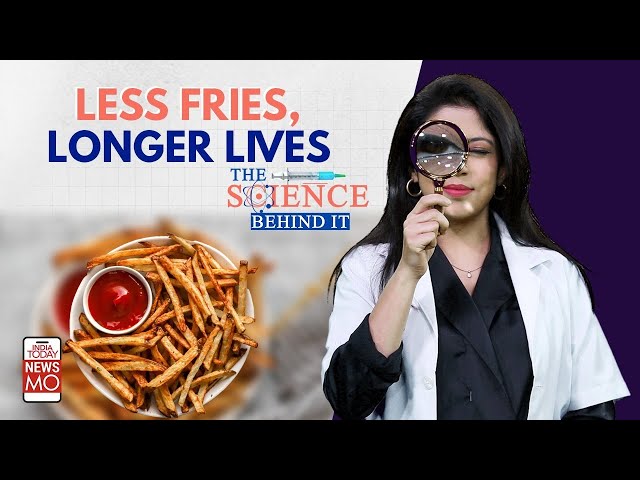 ⁣Are French Fries Dangerous Enough To Give You Cancer, Or Even Anxiety | Science Behind It