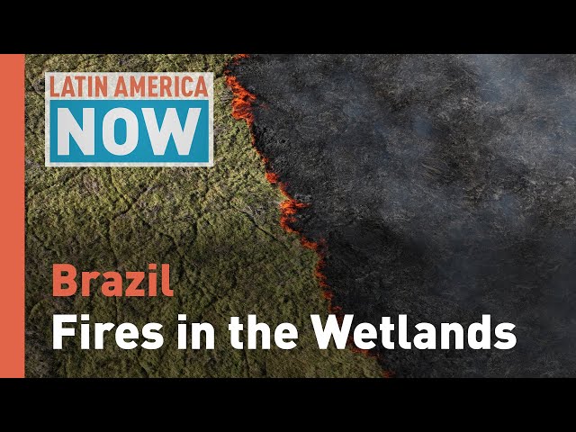 ⁣Latin America Now: Fires in Brazil´s wetlands