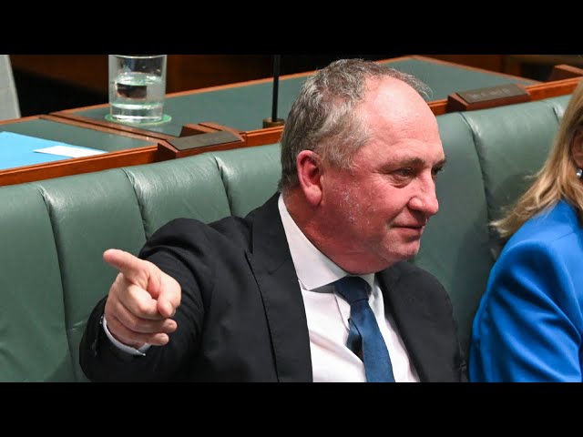 ⁣Barnaby Joyce criticises Labor's 2030 emission reduction targets