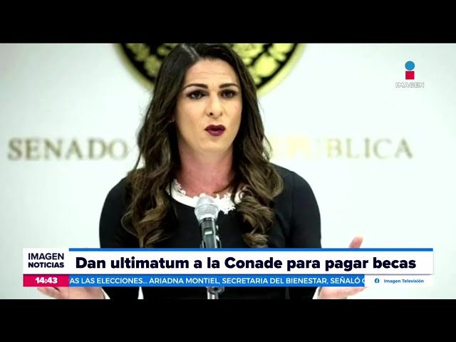 ⁣Tribunal da ultimátum a Ana Gabriela Guevara para pagar becas