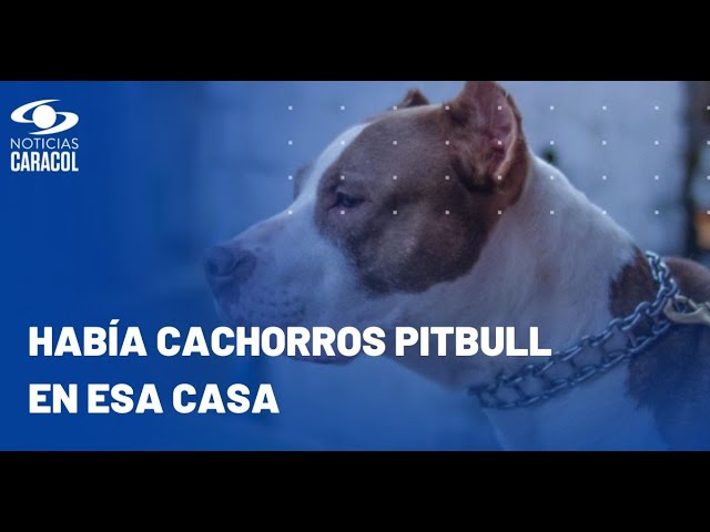⁣Revelan video del ataque de dos perros pitbull a su dueño en Bogotá