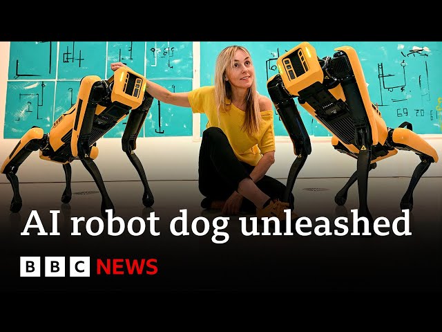 ⁣AI robot dogs take bullets to save humans, say engineers | BBC News