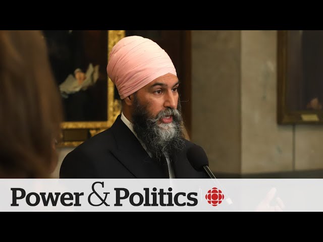 ⁣NDP leader more alarmed after reading unredacted intelligence report | Power & Politics