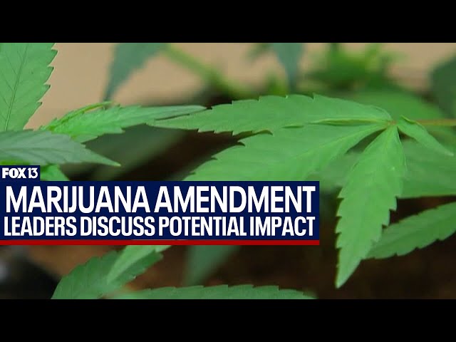 ⁣Potential impact of recreational marijuana amendment