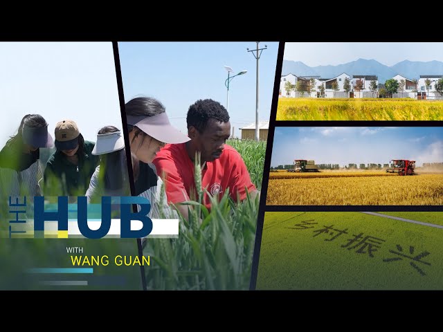 ⁣China-Africa cooperation in agriculture