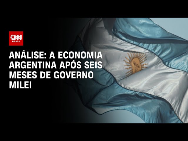 ⁣Análise: a economia argentina após seis meses de governo Milei | WW