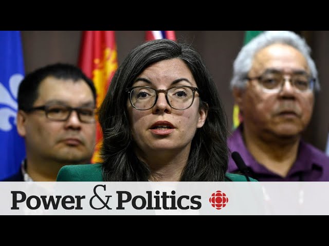 ⁣NDP MP billed taxpayers for $17K trip with family | Power & Politics